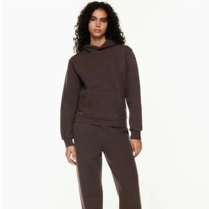 Aritzia Cozy Fleece Perfect Hoodie